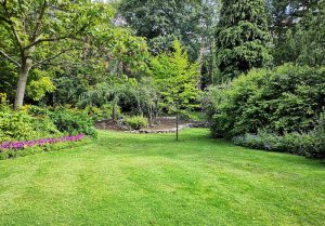 Optimiser l'expérience du jardin à Le Grand-Celland